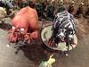 Kingdom Death Gorm 153.jpg